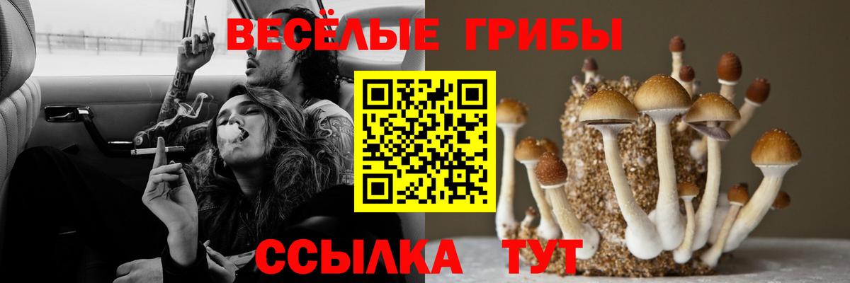 Учалы  наркотики  Вход с VPN  Галлюциногенные грибы Psilocybine cubensis 